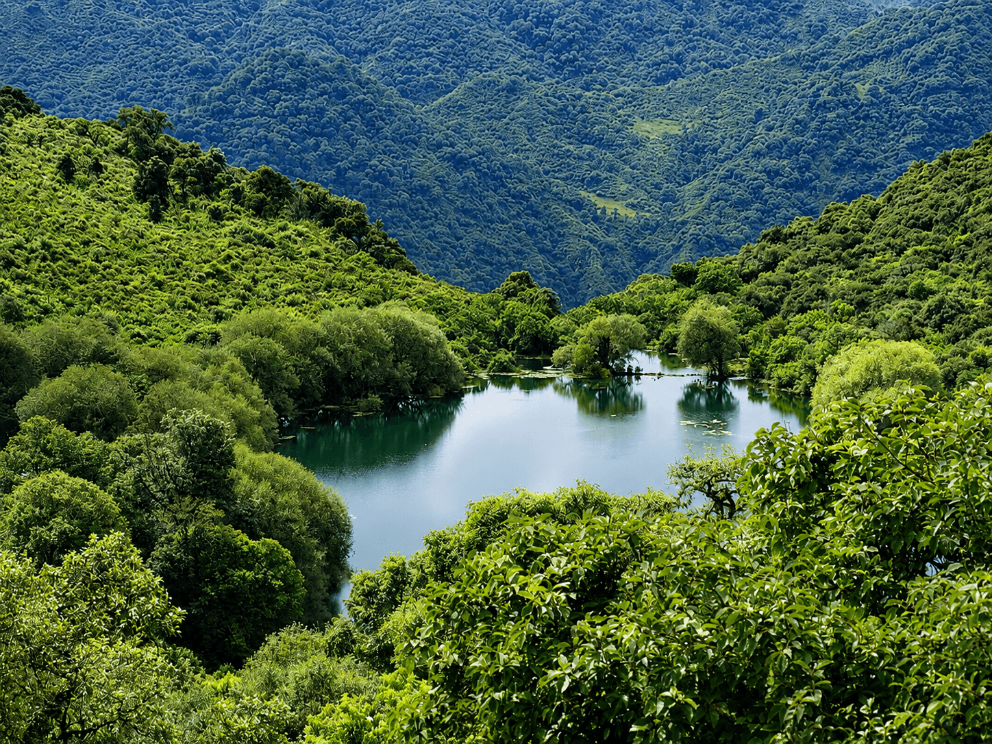 Potrero de Yala, lagunas de altura en la selva de montaña
