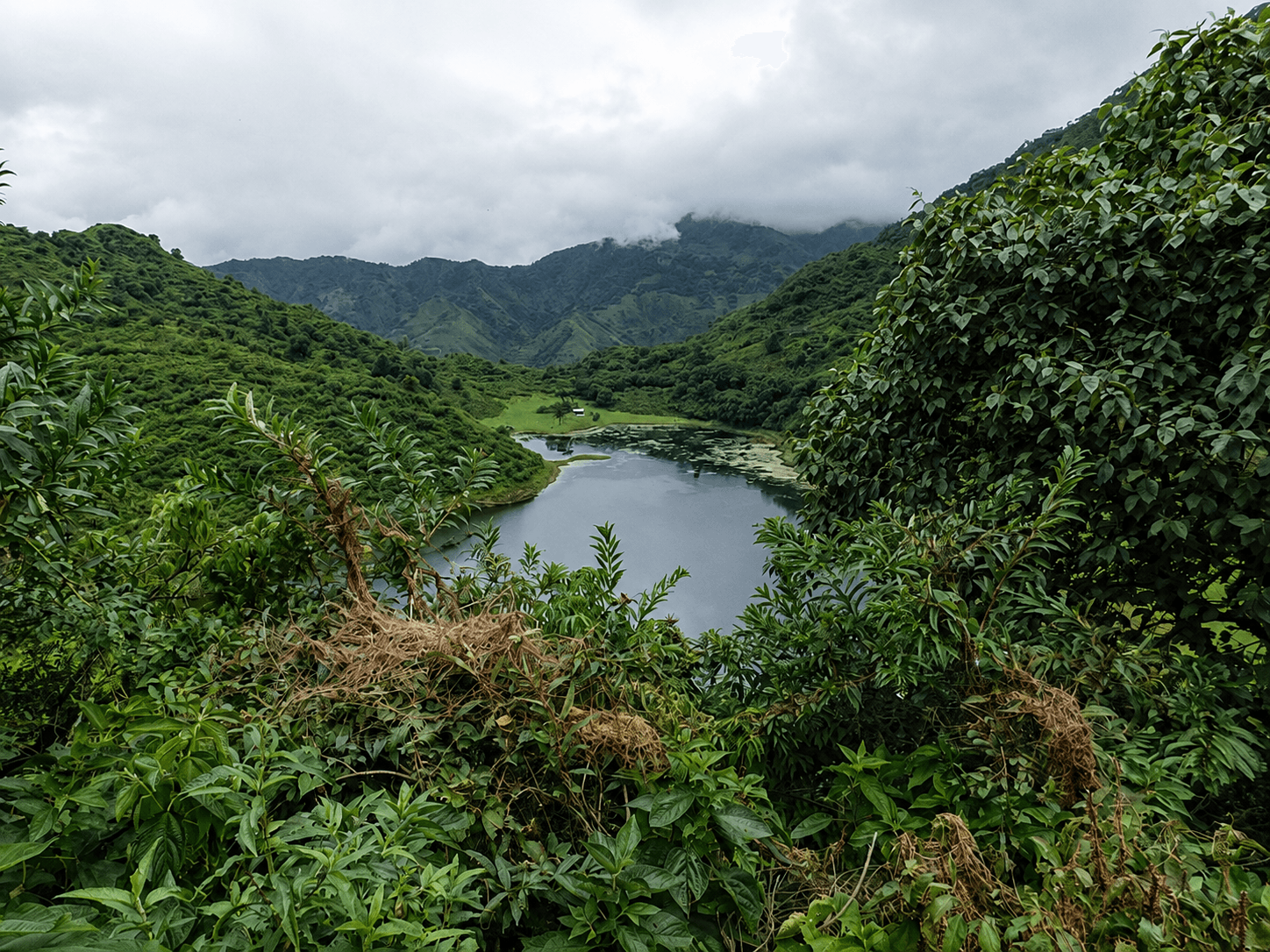 Potrero de Yala, lagunas de altura en la selva de montaña (3/3)