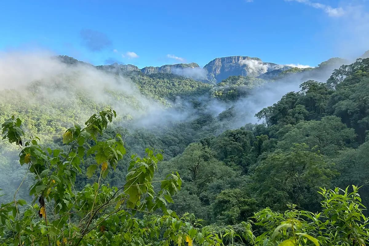 Parque Nacional Calilegua, el pulmón verde de las Yungas
