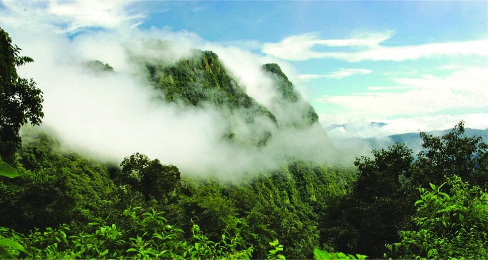 Parque Nacional Calilegua, el pulmón verde de las Yungas (2/4)